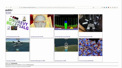 roundworm: A simple frontend for browsing pictures and videos stored in S3 storage